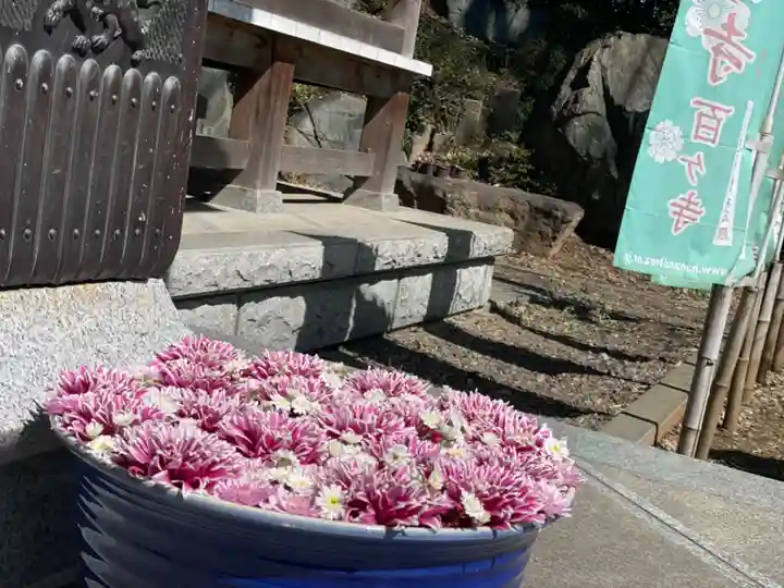 徳星寺(埼玉県)