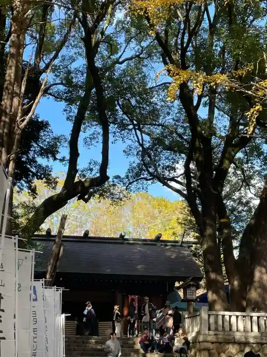 洲崎大神(神奈川県)