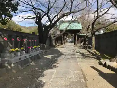 東光院の山門・神門