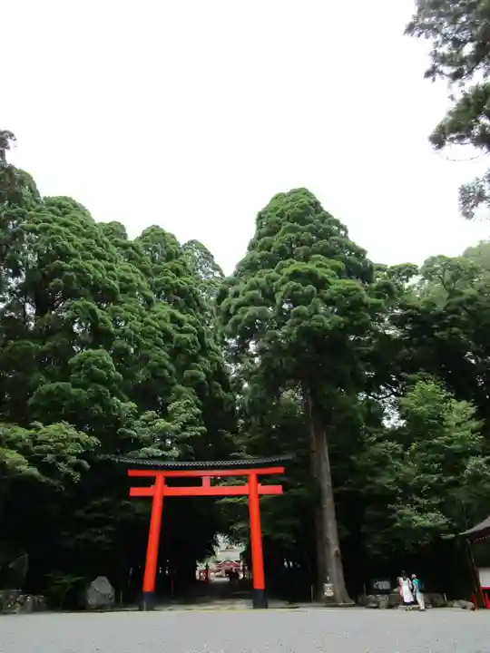 霧島神宮(鹿児島県)