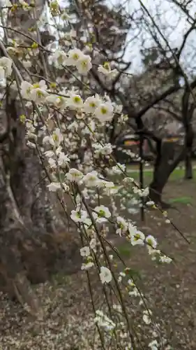 北野天満宮(京都府)
