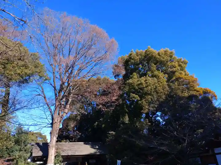 阿佐ヶ谷神明宮(東京都)