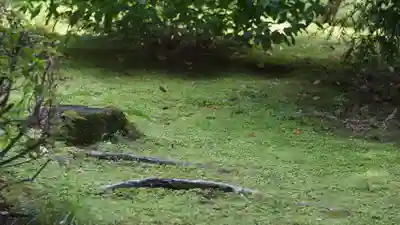 平安神宮(京都府)