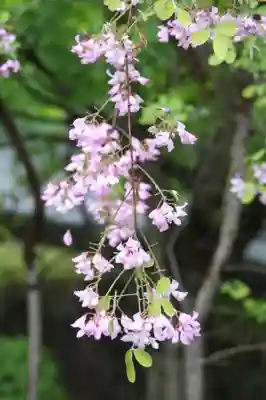 西應寺(滋賀県)