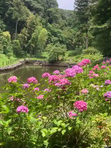 回春院(神奈川県)