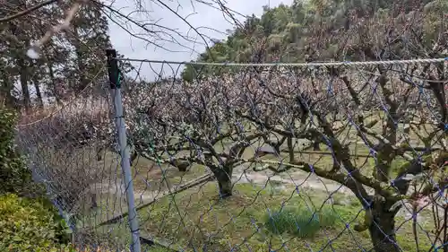 正法寺の景色