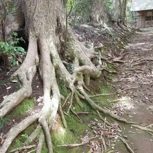 塩釜神社の自然