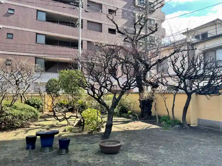 東光寺の{uncategorized: "未分類", other: "その他", undefined: "問題あり", building: "その他建物", grave: "お墓", sacred_gate: "鳥居", guardian: "狛犬", statue: "像", buddha: "仏像", history: "歴史", nature: "自然", garden: "庭園", animal: "動物", pagoda: "塔", temizu: "手水舎", mountain_gate: "山門・神門", sanctuary: "本殿・本堂", subordinate: "末社・摂社", art: "芸術", scenery: "景色", jizo: "地蔵", ema: "絵馬", goshuin: "御朱印", omikuji: "おみくじ", items: "授与品その他", amulet: "お守り", goshuincho: "御朱印帳", eats: "食事", festival: "お祭り", votive_dance: "神楽", shichigosan: "七五三参", wedding: "結婚式", experience: "体験その他", initially: "初詣", around: "周辺", anti_infection: "感染症対策"}