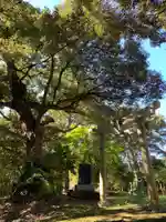 天津日神社の鳥居