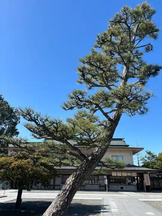 田縣神社の{uncategorized: "未分類", other: "その他", undefined: "問題あり", building: "その他建物", grave: "お墓", sacred_gate: "鳥居", guardian: "狛犬", statue: "像", buddha: "仏像", history: "歴史", nature: "自然", garden: "庭園", animal: "動物", pagoda: "塔", temizu: "手水舎", mountain_gate: "山門・神門", sanctuary: "本殿・本堂", subordinate: "末社・摂社", art: "芸術", scenery: "景色", jizo: "地蔵", ema: "絵馬", goshuin: "御朱印", omikuji: "おみくじ", items: "授与品その他", amulet: "お守り", goshuincho: "御朱印帳", eats: "食事", festival: "お祭り", votive_dance: "神楽", shichigosan: "七五三参", wedding: "結婚式", experience: "体験その他", initially: "初詣", around: "周辺", anti_infection: "感染症対策"}