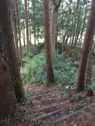 鹿島神社の自然