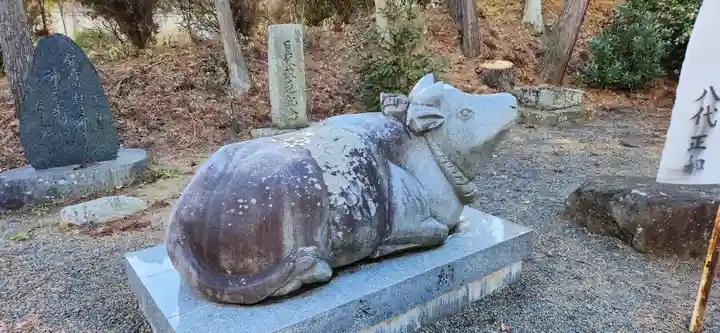 豊景神社の周辺