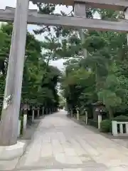 寒川神社の鳥居