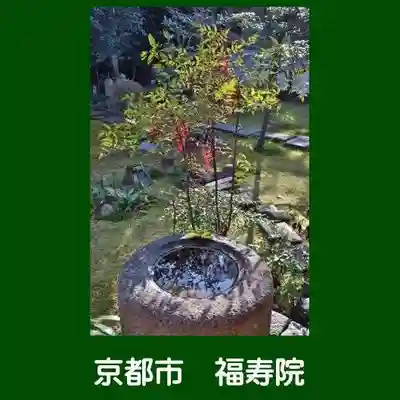 福壽院(京都府)