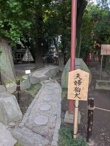 浅草神社の庭園