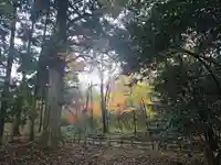 山神社 (マキノ町牧野)(滋賀県)