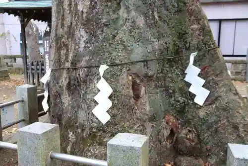 阿邪訶根神社の自然