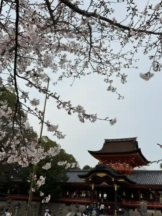 石清水八幡宮の{uncategorized: "未分類", other: "その他", undefined: "問題あり", building: "その他建物", grave: "お墓", sacred_gate: "鳥居", guardian: "狛犬", statue: "像", buddha: "仏像", history: "歴史", nature: "自然", garden: "庭園", animal: "動物", pagoda: "塔", temizu: "手水舎", mountain_gate: "山門・神門", sanctuary: "本殿・本堂", subordinate: "末社・摂社", art: "芸術", scenery: "景色", jizo: "地蔵", ema: "絵馬", goshuin: "御朱印", omikuji: "おみくじ", items: "授与品その他", amulet: "お守り", goshuincho: "御朱印帳", eats: "食事", festival: "お祭り", votive_dance: "神楽", shichigosan: "七五三参", wedding: "結婚式", experience: "体験その他", initially: "初詣", around: "周辺", anti_infection: "感染症対策"}