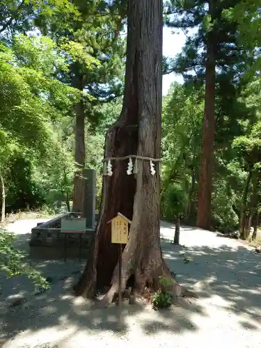 丹生川上神社（中社）(奈良県)