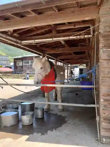 小室浅間神社の動物
