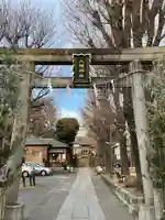 上田端八幡神社の鳥居