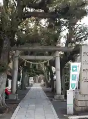 中野氷川神社の鳥居