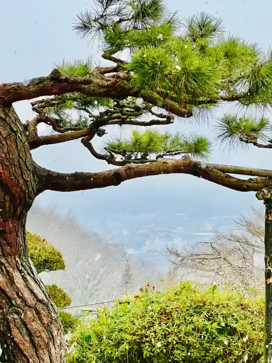 音楽寺の{uncategorized: "未分類", other: "その他", undefined: "問題あり", building: "その他建物", grave: "お墓", sacred_gate: "鳥居", guardian: "狛犬", statue: "像", buddha: "仏像", history: "歴史", nature: "自然", garden: "庭園", animal: "動物", pagoda: "塔", temizu: "手水舎", mountain_gate: "山門・神門", sanctuary: "本殿・本堂", subordinate: "末社・摂社", art: "芸術", scenery: "景色", jizo: "地蔵", ema: "絵馬", goshuin: "御朱印", omikuji: "おみくじ", items: "授与品その他", amulet: "お守り", goshuincho: "御朱印帳", eats: "食事", festival: "お祭り", votive_dance: "神楽", shichigosan: "七五三参", wedding: "結婚式", experience: "体験その他", initially: "初詣", around: "周辺", anti_infection: "感染症対策"}