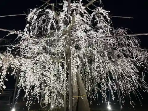 八幡社の{uncategorized: "未分類", other: "その他", undefined: "問題あり", building: "その他建物", grave: "お墓", sacred_gate: "鳥居", guardian: "狛犬", statue: "像", buddha: "仏像", history: "歴史", nature: "自然", garden: "庭園", animal: "動物", pagoda: "塔", temizu: "手水舎", mountain_gate: "山門・神門", sanctuary: "本殿・本堂", subordinate: "末社・摂社", art: "芸術", scenery: "景色", jizo: "地蔵", ema: "絵馬", goshuin: "御朱印", omikuji: "おみくじ", items: "授与品その他", amulet: "お守り", goshuincho: "御朱印帳", eats: "食事", festival: "お祭り", votive_dance: "神楽", shichigosan: "七五三参", wedding: "結婚式", experience: "体験その他", initially: "初詣", around: "周辺", anti_infection: "感染症対策"}