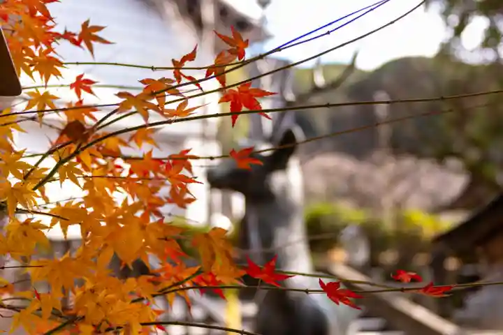 太宰府天満宮(福岡県)