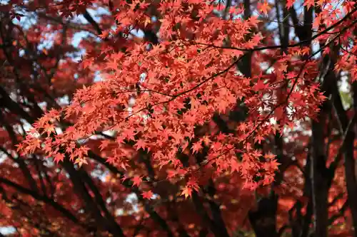 土津神社｜こどもと出世の神さまの自然