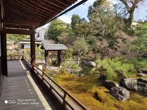 両足院の庭園