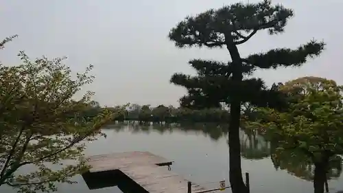 大覚寺の庭園