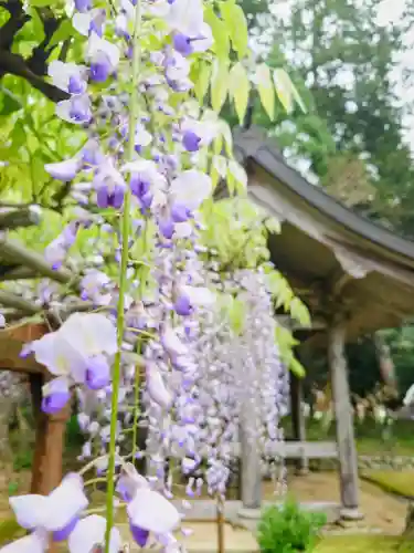 粟鹿神社(兵庫県)