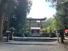 北口本宮冨士浅間神社の鳥居