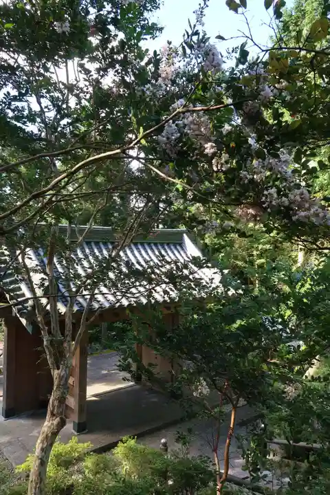 忉利天上寺の山門・神門