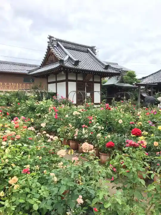 おふさ観音(観音寺)の本殿・本堂