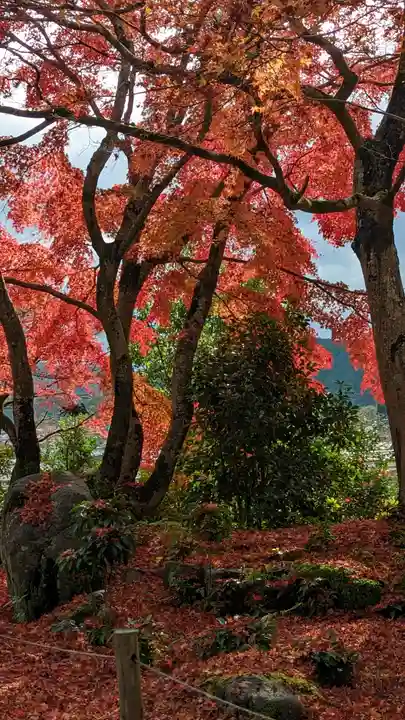 三明院(京都府)