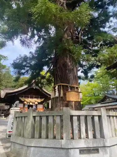 諏訪大社下社秋宮(長野県)