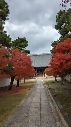 妙顯寺（妙顕寺）(京都府)
