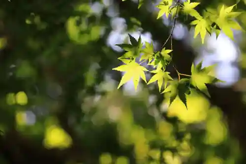 鹿島大神宮の庭園