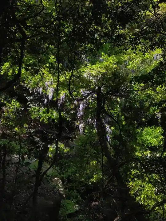 弁財天宮の自然