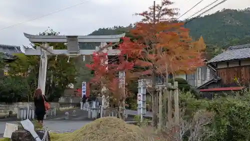 鍬山神社(京都府)