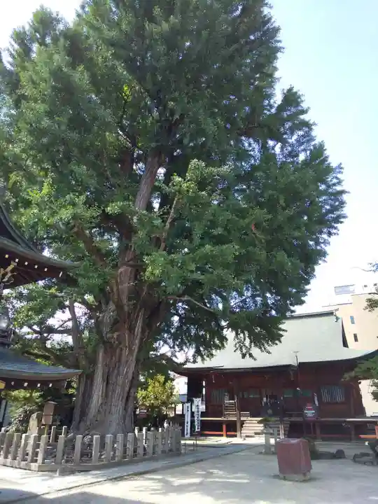飛騨国分寺(岐阜県)