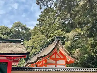 宇佐神宮の本殿・本堂