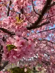 鈴森神社の自然