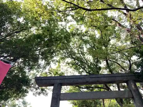 小垣江神明神社の鳥居