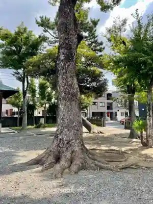 神明神社(神奈川県)