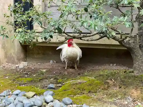 伊勢神宮内宮（皇大神宮）(三重県)