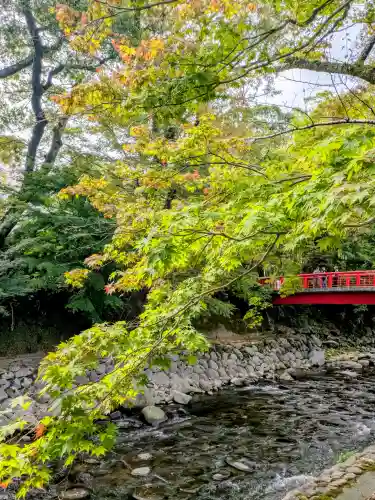 修禅寺の{uncategorized: "未分類", other: "その他", undefined: "問題あり", building: "その他建物", grave: "お墓", sacred_gate: "鳥居", guardian: "狛犬", statue: "像", buddha: "仏像", history: "歴史", nature: "自然", garden: "庭園", animal: "動物", pagoda: "塔", temizu: "手水舎", mountain_gate: "山門・神門", sanctuary: "本殿・本堂", subordinate: "末社・摂社", art: "芸術", scenery: "景色", jizo: "地蔵", ema: "絵馬", goshuin: "御朱印", omikuji: "おみくじ", items: "授与品その他", amulet: "お守り", goshuincho: "御朱印帳", eats: "食事", festival: "お祭り", votive_dance: "神楽", shichigosan: "七五三参", wedding: "結婚式", experience: "体験その他", initially: "初詣", around: "周辺", anti_infection: "感染症対策"}