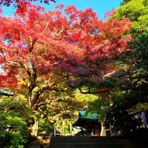 鎌倉宮(神奈川県)